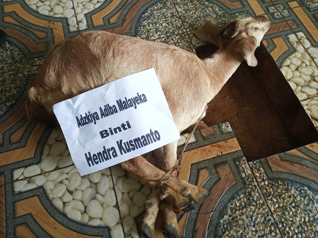 Ruko PCI, Jl. Pondok Cilegon Indah Blok KK1 No. 12 A, Kedaleman, Kec. Cibeber, Kota Cilegon, Banten 42422