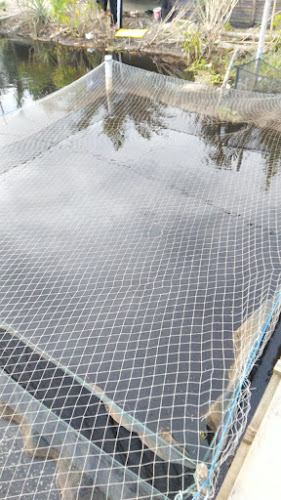 Comentarii opinii despre KERAMBA PAK WILLY