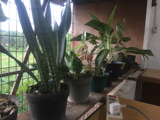 Sekretariat Aman Kal-Bar