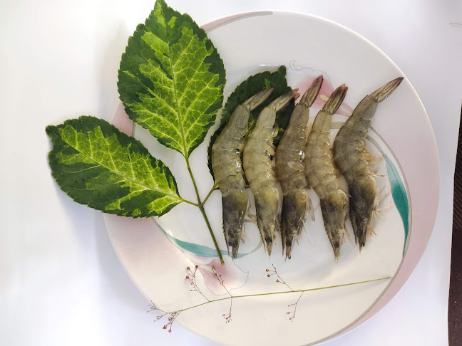 Empang Suppa (Udang dan Ikan Segar) - Gastronomi dan perhotelan