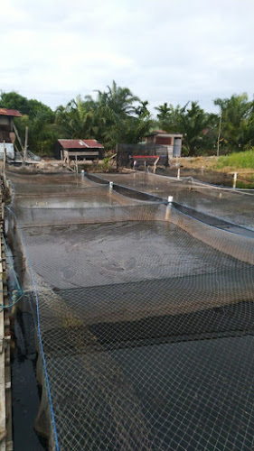 Jl. Bunga Tj., Ratu Sima, Kec. Dumai Bar., Kota Dumai, Riau 28826