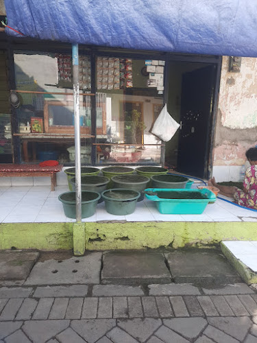 Opinii despre Warkop "mak mi" în Kota Pasuruan - Gastronomi dan perhotelan