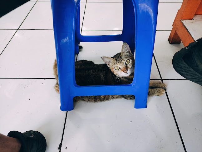 Comentarii opinii despre Warteg Kharisma Bahari Pasuruan