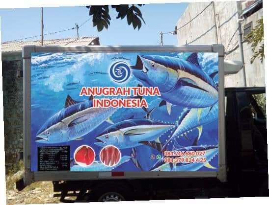 Cv Anugrah Tuna Indonesia - Kota Denpasar