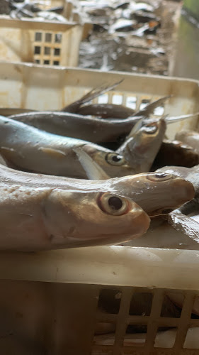 Opinii despre Bahan Pindangan ( Mas Gombloh ) GM FISH în Kab. Tasikmalaya - Gastronomi dan perhotelan