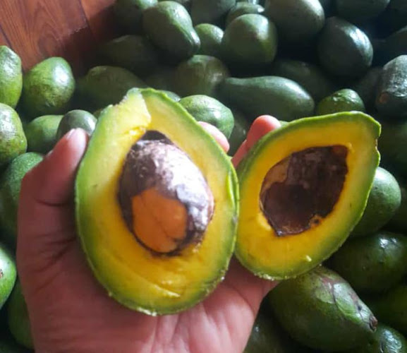 ALPUKAT DURIAN KOCOK