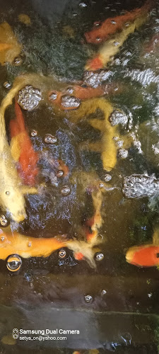 Warung Kopi Ngangeni