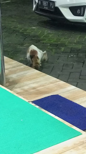 Opinii despre Wong Solo în Kota Malang - Gastronomi dan perhotelan