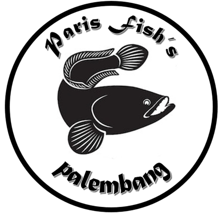 Agen Ikan Gabus Paris Fish's