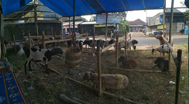 Opinii despre Mie Baso Kurdi Paseh în Kab. Tasikmalaya - Gastronomi dan perhotelan
