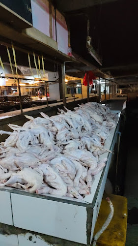 Bebek aboy basement pasar kosambi - Gastronomi dan perhotelan