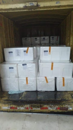 Comentarii opinii despre Cv Anugrah Tuna Indonesia