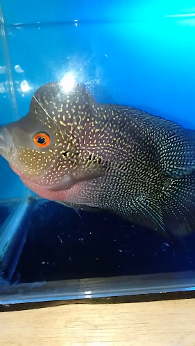 Bakso Manunggal Simpang Empat