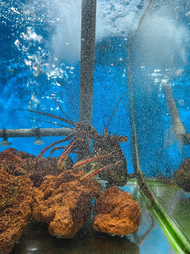 Comentarii opinii despre Kurnia Seafood Bandung