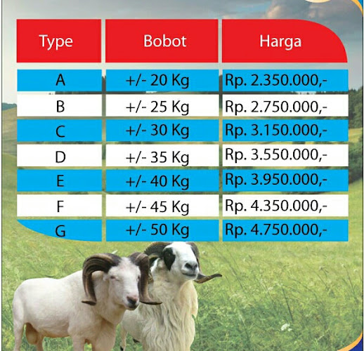 Comentarii opinii despre Aqiqah Cisauk Tangerang (Al Ihsan)