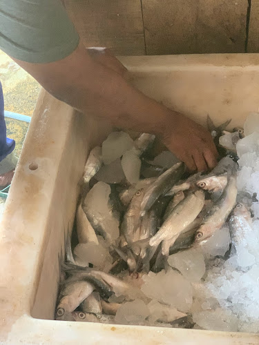 Jl. Situ Gede No.174, Linggajaya, Kec. Mangkubumi, Kab. Tasikmalaya, Jawa Barat 46181