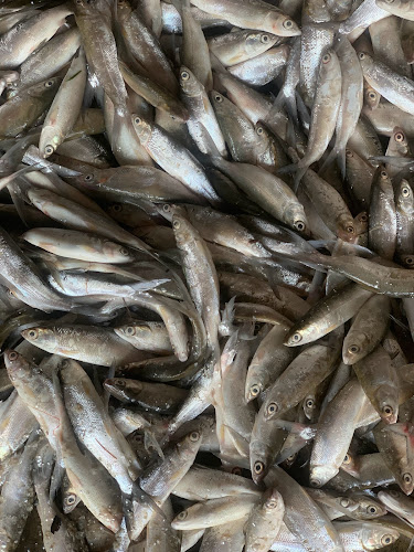 Jl. Situ Gede No.174, Linggajaya, Kec. Mangkubumi, Kab. Tasikmalaya, Jawa Barat 46181