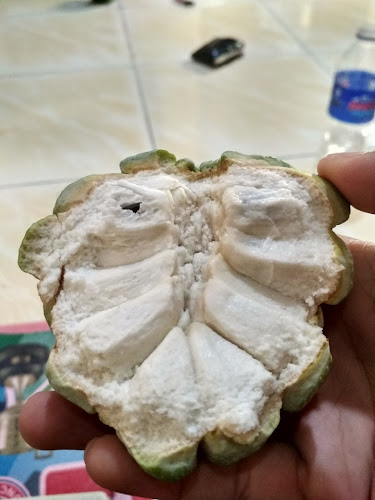 Jl. Pulau Damar No.12, Way Dadi, Kec. Sukarame, Kota Bandar Lampung, Lampung 35131