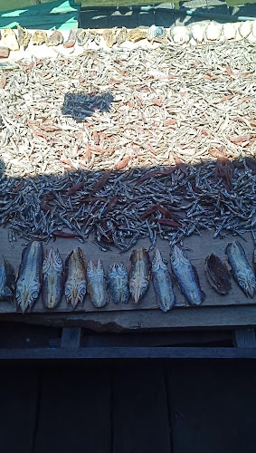 Opinii despre Rumah Makan Dofior în Kota Sorong - Gastronomi dan perhotelan