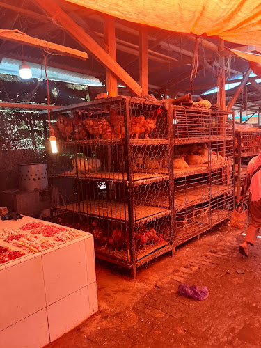 2GMC+W48, Jl. Lasandara, Korumba, Kec. Mandonga, Kota Kendari, Sulawesi Tenggara 93111