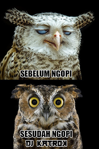 Warung Kopi KatroK - Gastronomi dan perhotelan