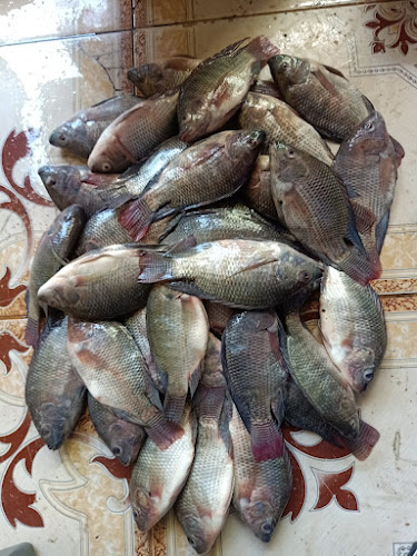 Lelong makassar online - Gastronomi dan perhotelan