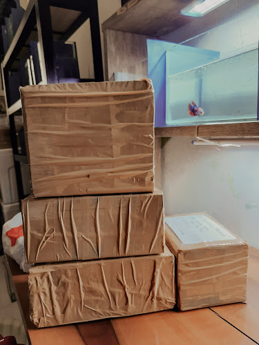 Jl. Danau Wam, Kampung Salak, Klawasi, Distrik Sorong Barat, Kota Sorong, Papua Bar. 98412