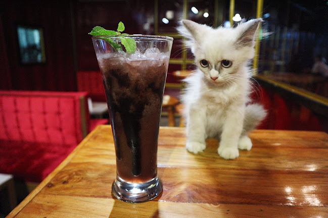 Jl. Sultan Alauddin No.305a, Gn. Sari, Kec. Rappocini, Kota Makassar, Sulawesi Selatan 90221