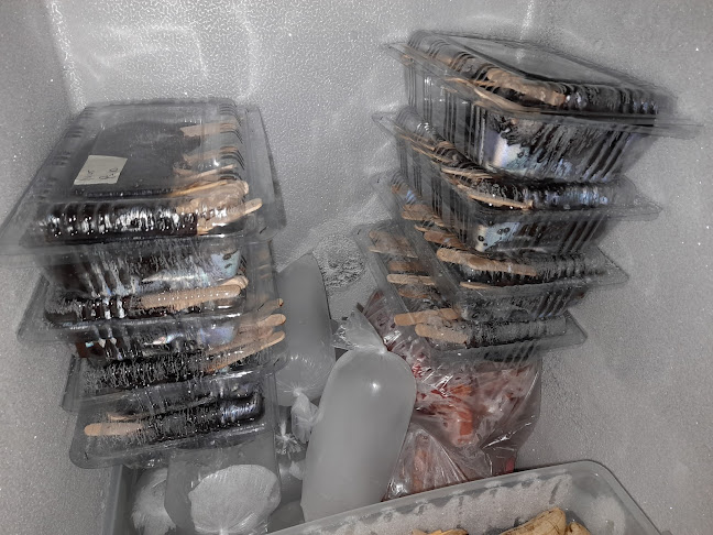 EsKulKul Muy - Kota Cilegon