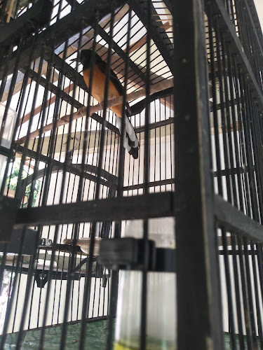 Ikan Bakar Pak Irfan - Gastronomi dan perhotelan