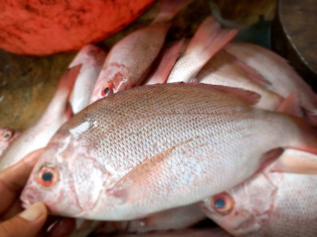 Mr.crab - Kota Palangka Raya