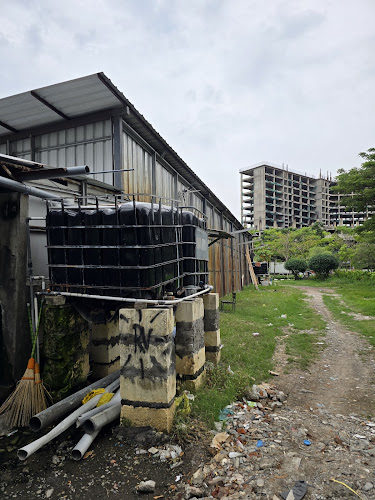 Comentarii opinii despre GIRAS REVO MERR