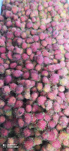 "KIOS BUAH - Queen Nazifa"