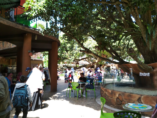 Opinii despre garden cafe în Kota Batu - Gastronomi dan perhotelan