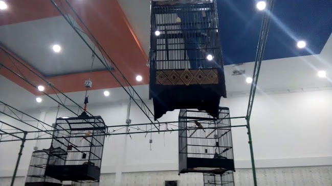 Jl. Panglima Aim No.78A, Saigon, Kec. Pontianak Tim., Kota Pontianak, Kalimantan Barat 78242