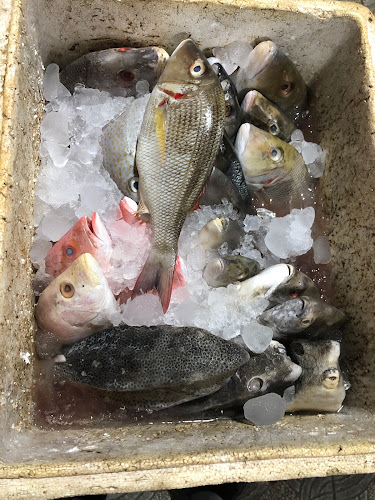 Opinii despre Rumah Makan Sumber Aroma în Kota Kendari - Gastronomi dan perhotelan