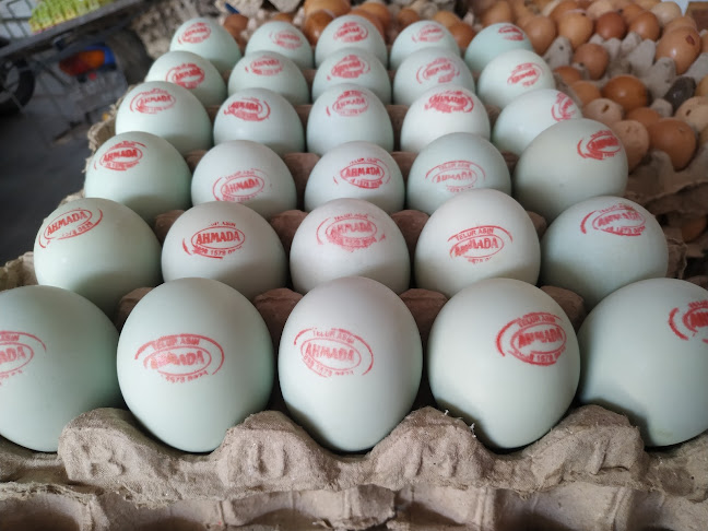 Comentarii opinii despre Telor Bu Nur (Pasar Templek)