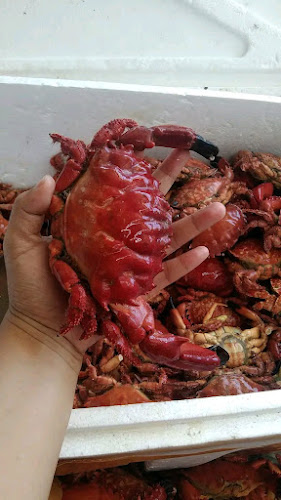 Kafekofi - Kota Bandar Lampung