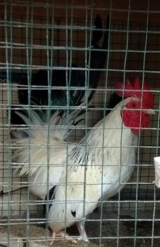 Jl. Aru Kelurahan No.22, Lubuk Begalung Nan XX, Kec. Lubuk Begalung, Kota Padang, Sumatera Barat 25225