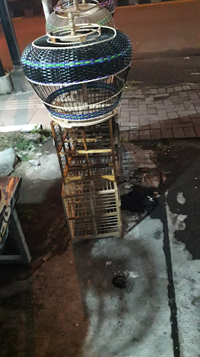 JL.RAYA CILEGON SEBRANG HOTEL DINASTY BINTANG SWALAYAN (RUKO INUL VIZTA) - Kota Cilegon