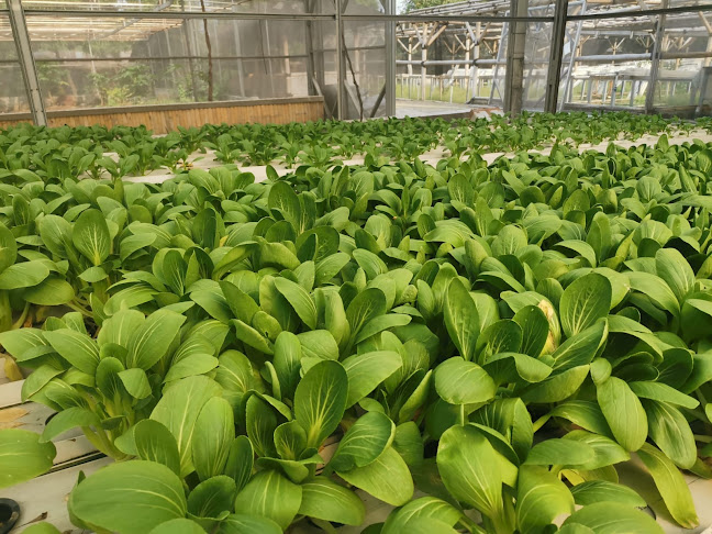 Teratai Cafe & Resto - Kota Tangerang