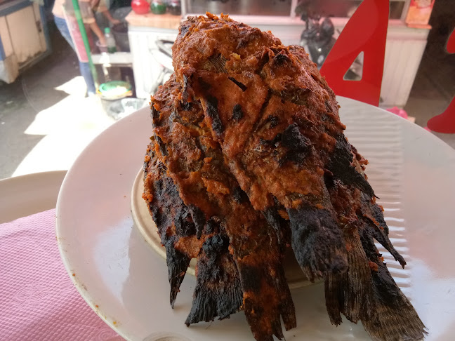 Comentarii opinii despre AMPERA PALANTA