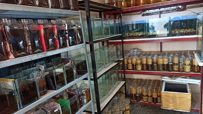 Opinii despre Golden Fish Farm în Kota Palembang - Gastronomi dan perhotelan