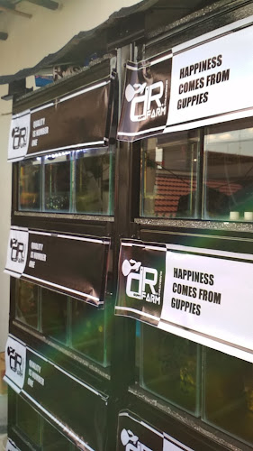 dr.guppy farm Palembang