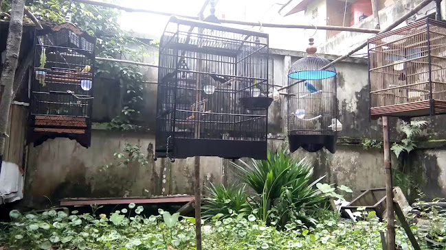 kedai coffee 21 - Gastronomi dan perhotelan