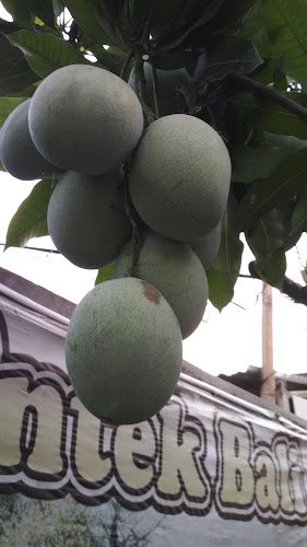 Opinii despre Warung Makan Bu Sri Entek Bali în Kota Pekalongan - Gastronomi dan perhotelan