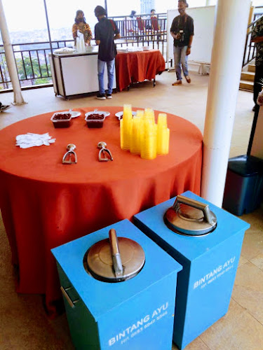 BINTANG AYU ICE CREAM 2