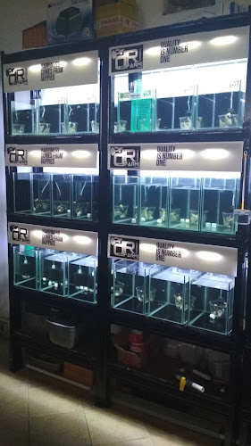 dr.guppy farm Palembang - Gastronomi dan perhotelan