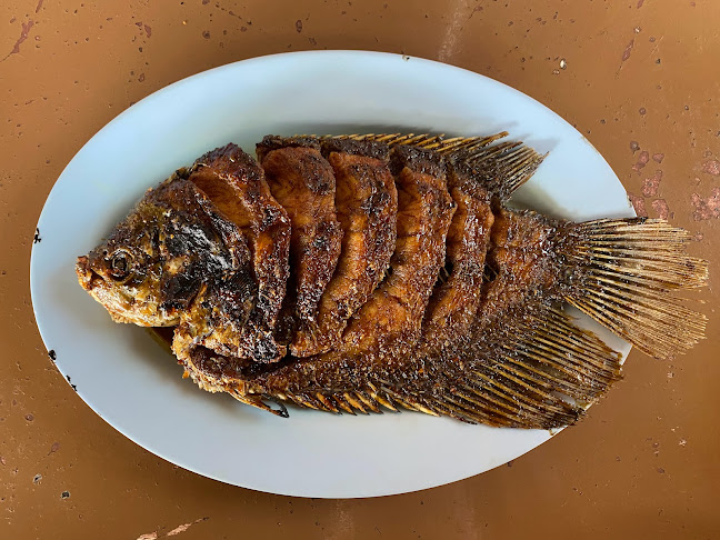 Victory Lesehan Dan Pemancingan