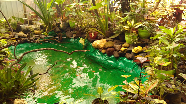 Garita Garden Cafe - Kota Malang